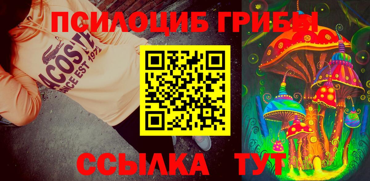 Батайск  Галлюциногенные грибы прущие грибы  Вход с VPN 